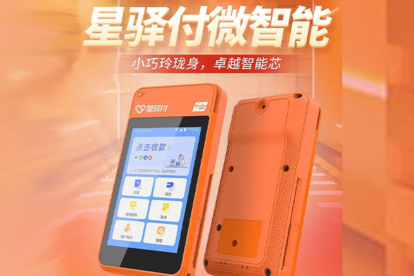 桓台国通微电签POS机